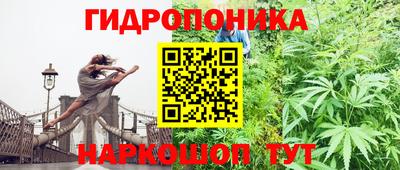 соль курить ск Заводоуковск