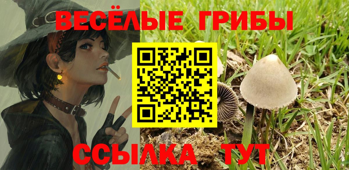 ГАШ Лениногорск