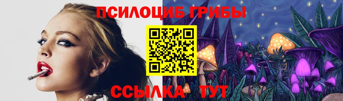 Галлюциногенные грибы Cubensis Лениногорск